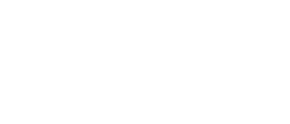 Aviagames